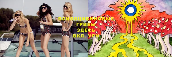 трава Михайловск