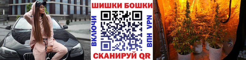 Купить  Можга  Канабис SATIVA & INDICA 